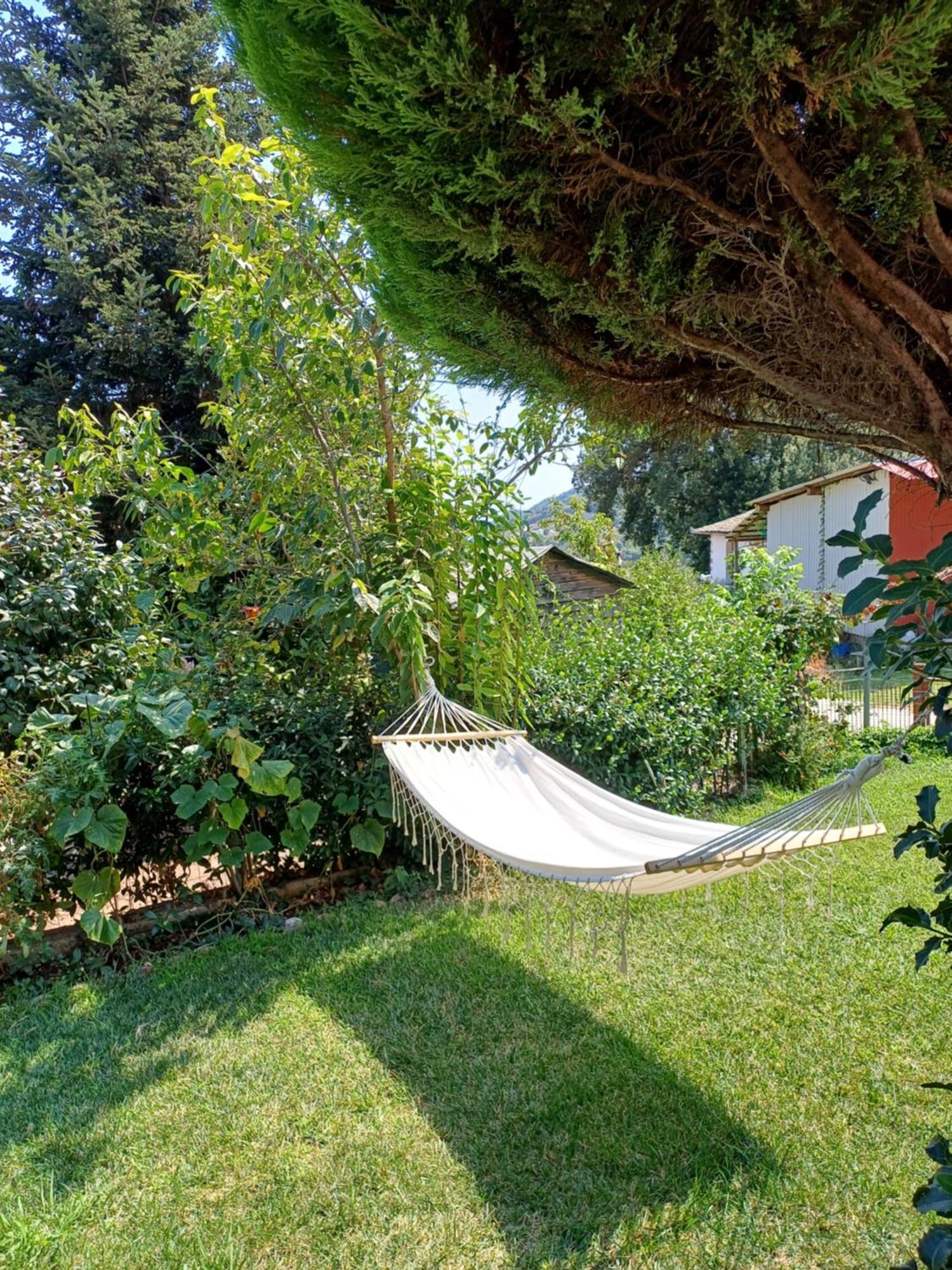 Efi'S Guest House Áyios Dhimítrios Exteriör bild